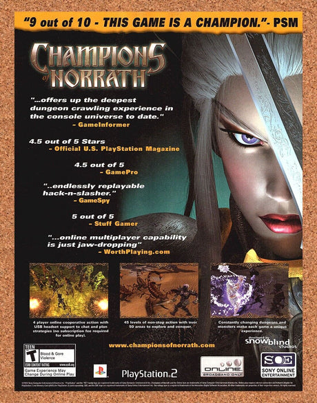 Champions Of Norrath PS2 Original 2004 Print Ad Authentic MMO Video Game Promo