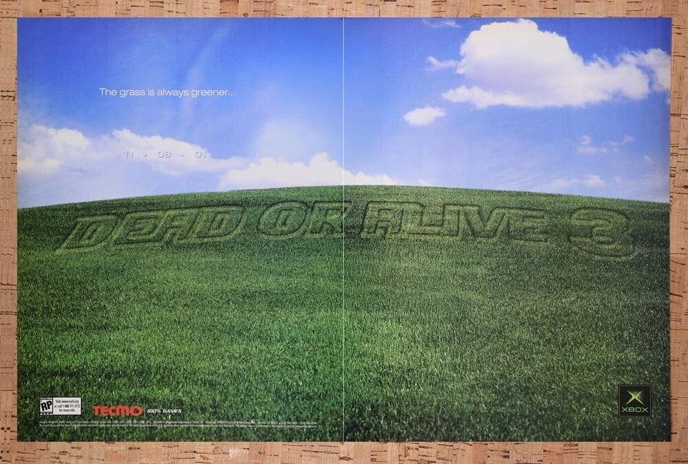 2001 Dead Or Alive 3 Xbox Original Ad v2
